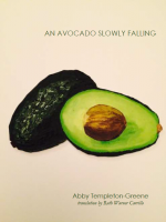 An Avocado Slowly Falling